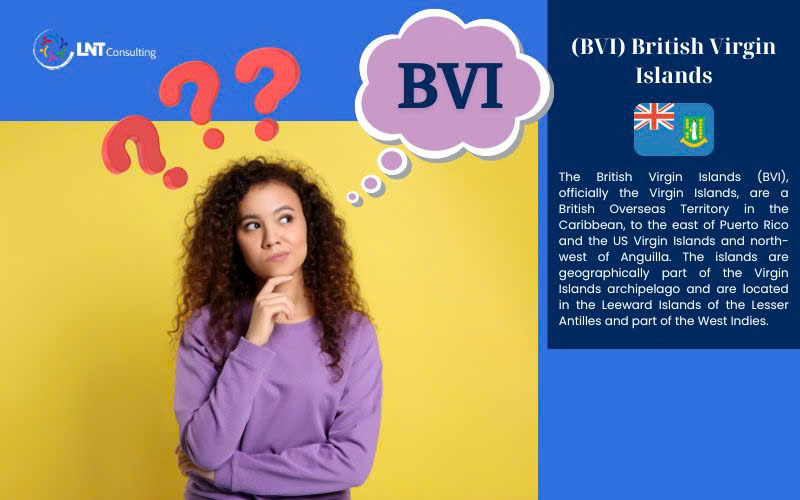 Why-do-companies-register-in-BVI