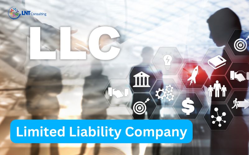 Limited-liability-company-llc